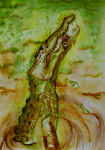 Barbora Sedláčková - Krokodýl
