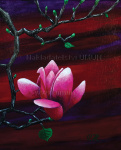 Pavel Hejhal - Květ magnolie
