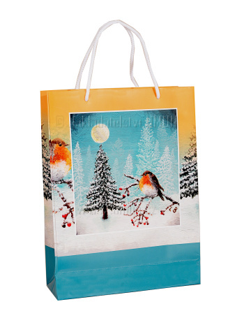 Vánoční taška velká zn.2818