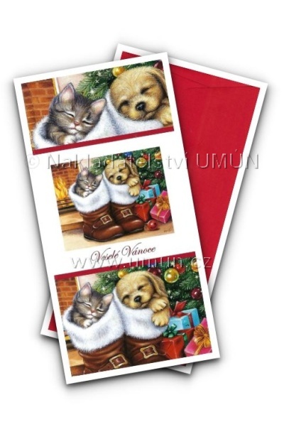 Darovací obálka zn.6617