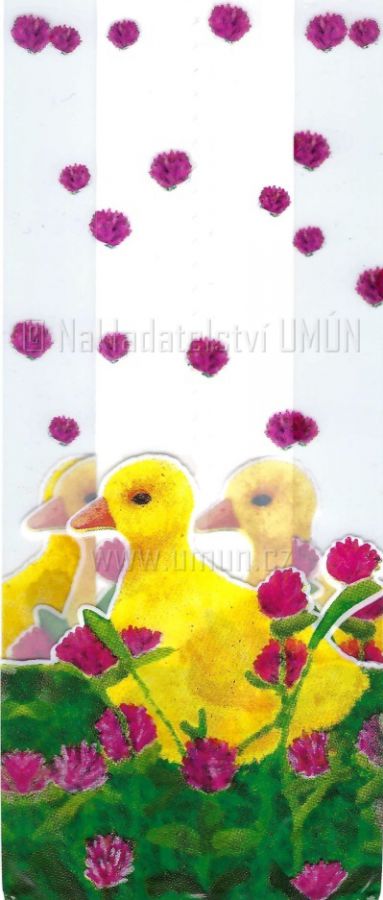 Sáček na dárky (průhledný) zn.4792